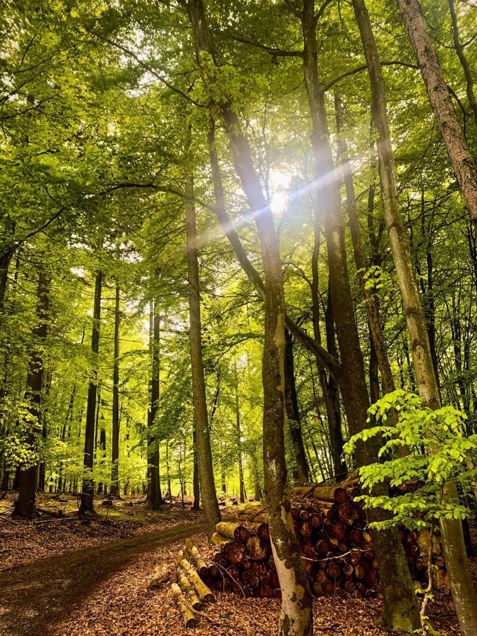 Fewo_Ortszeit Haintchen Bagian luar foto